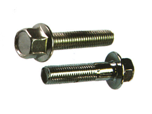 Hexagon Flange Bolts