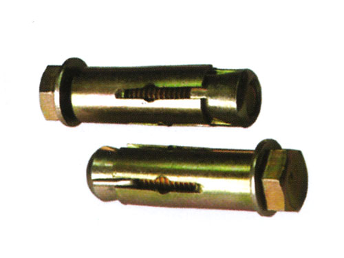 Expansion Bolts