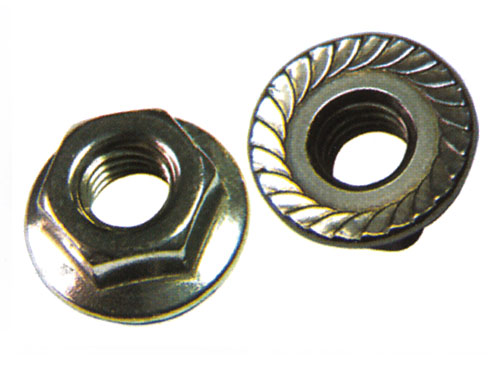 Hexagon Nuts with Flange